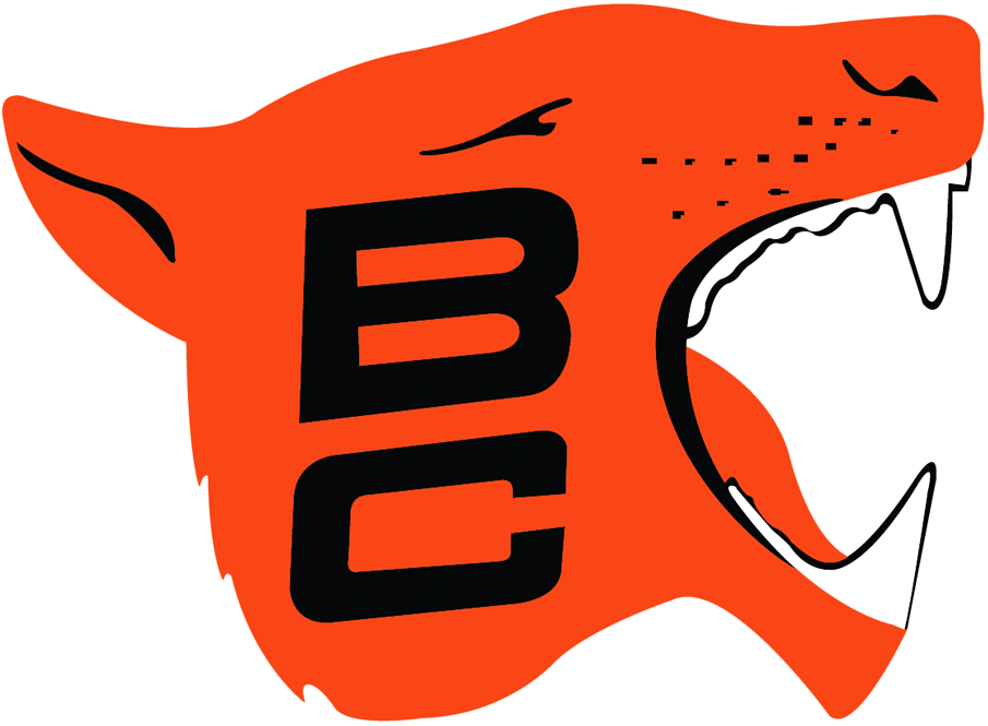 BC Lions 1967-1977 Primary Logo iron on paper